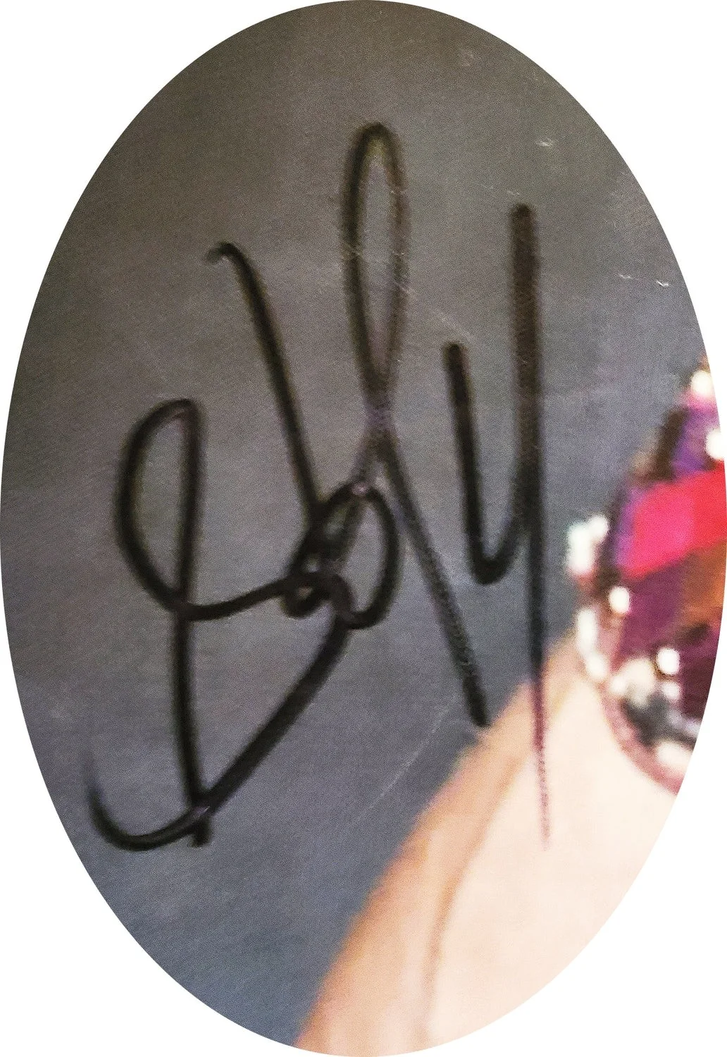 Aerosmith Steven Tyler Signed Framed 24x36 Canvas Photo Print, изображение 2