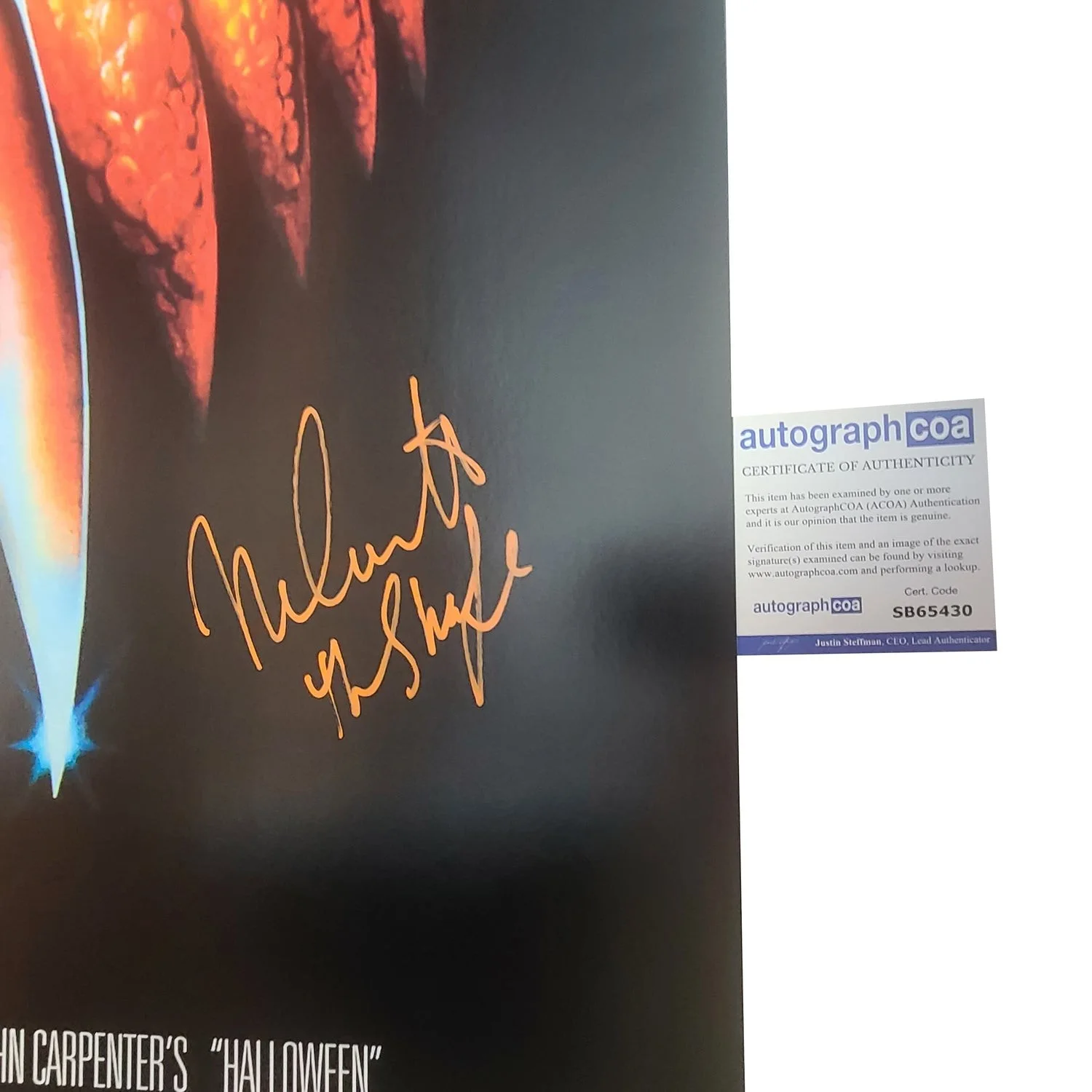 Nick Castle Signed Halloween Michael Myers 24x36 Poster Exact Proof ACOA, image 2