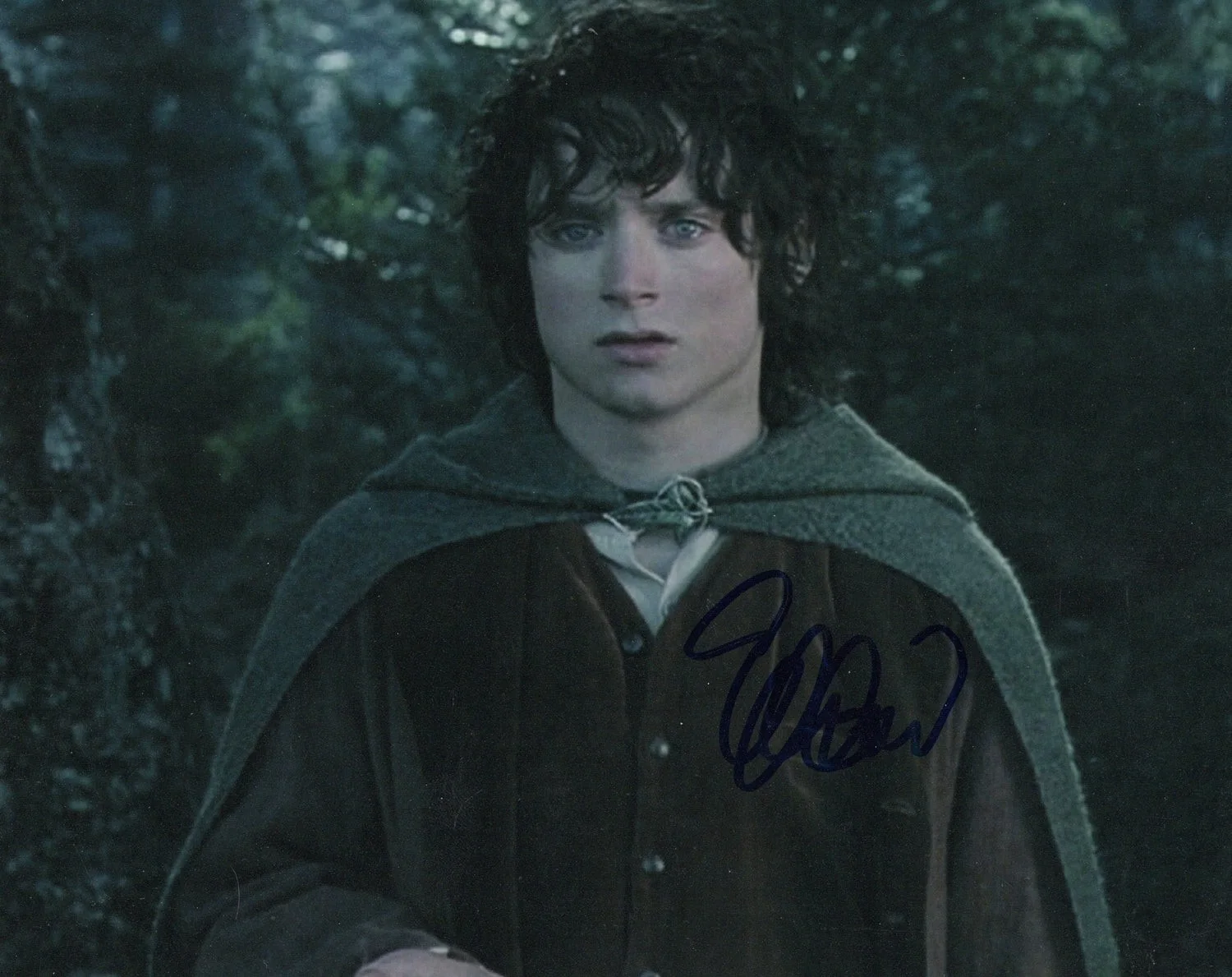 Elijah Wood Signed Autographed 8x10 Lord of the Rings Frodo Baggins Photo, изображение 2