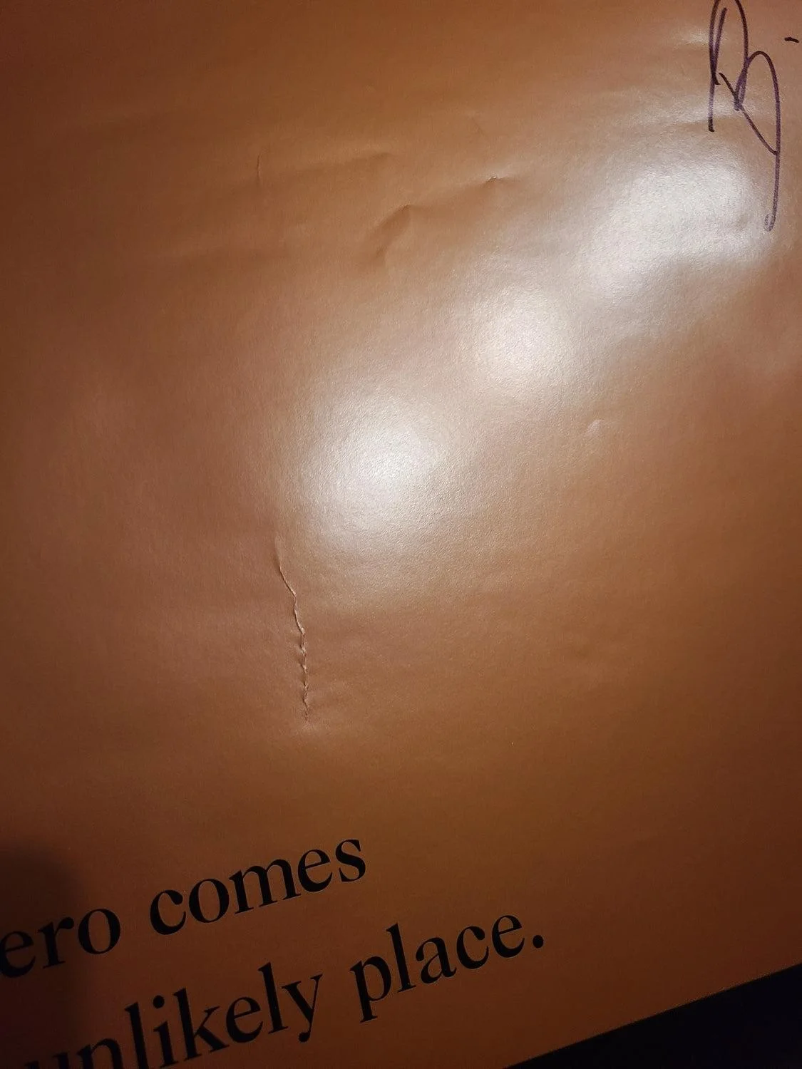 Billy Bob Thornton Autographed Original Sling Blade Poster w Movie Quote Exact P, image 3