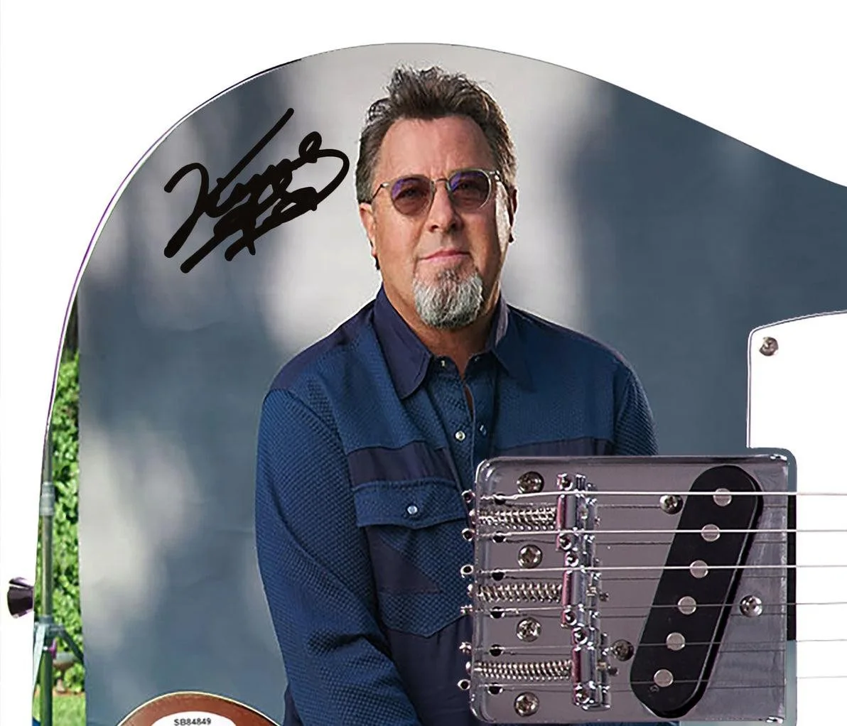 Vince Gill Signed Autographed Stunning Nature Graphics Photo Guitar ACOA, image 3