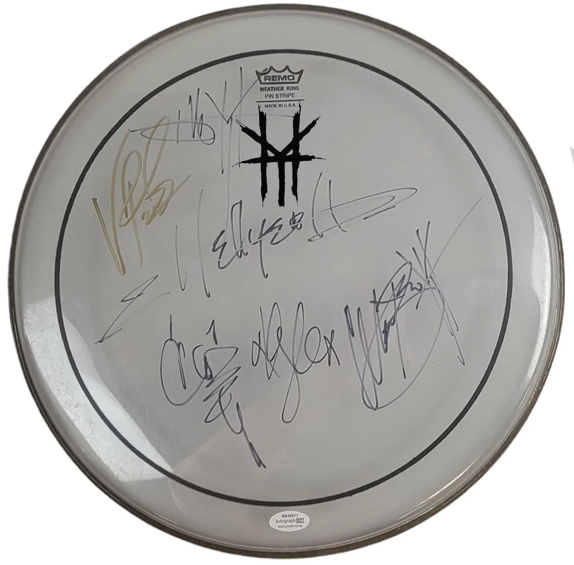 Hellyeah Signed Vinnie Paul Plus Framed Drum Head Drumhead Display ACOA, image 2