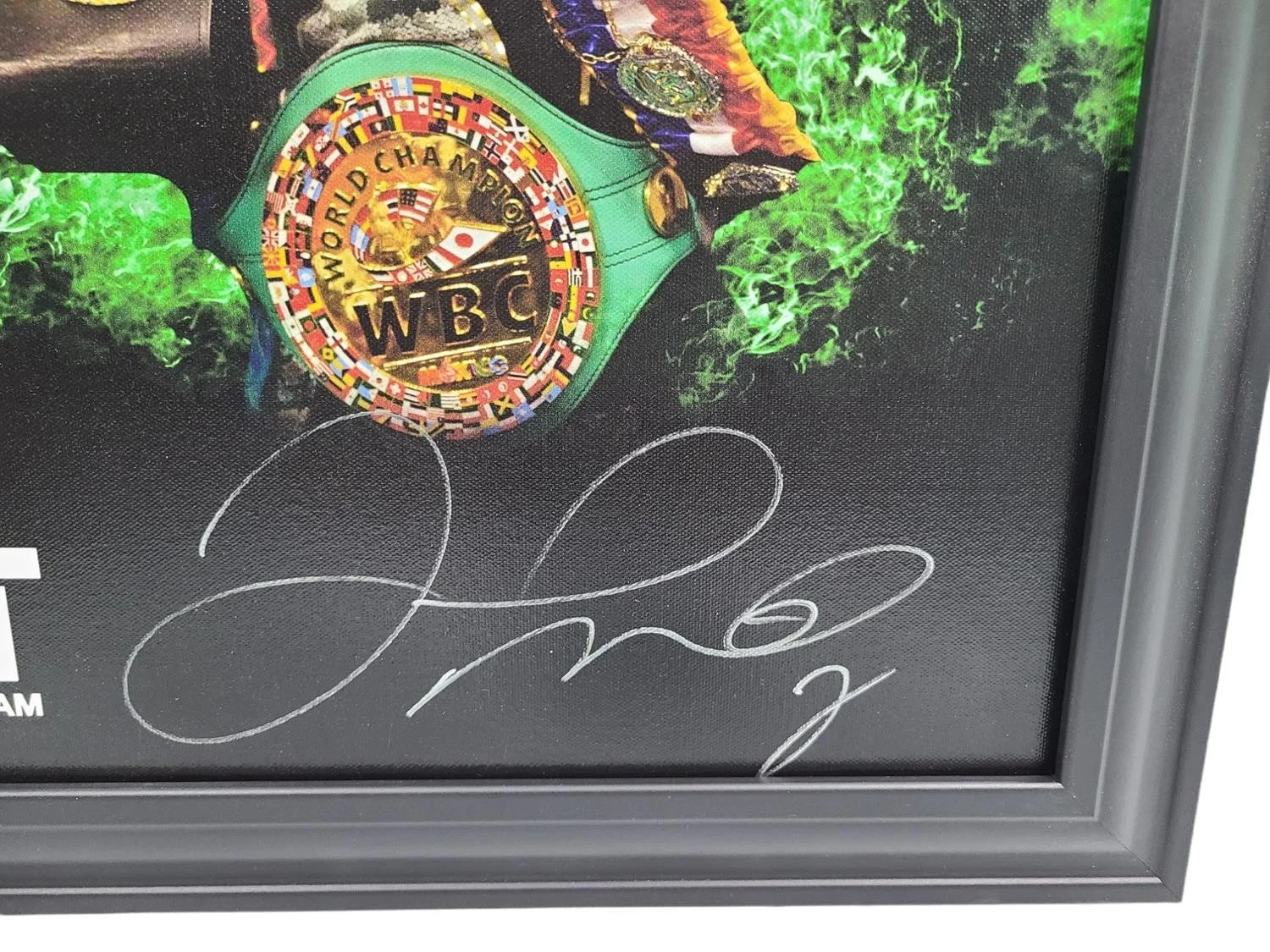 Floyd Money Mayweather Jr. Signed I Fight For the Check Framed Canvas BAS, image 2