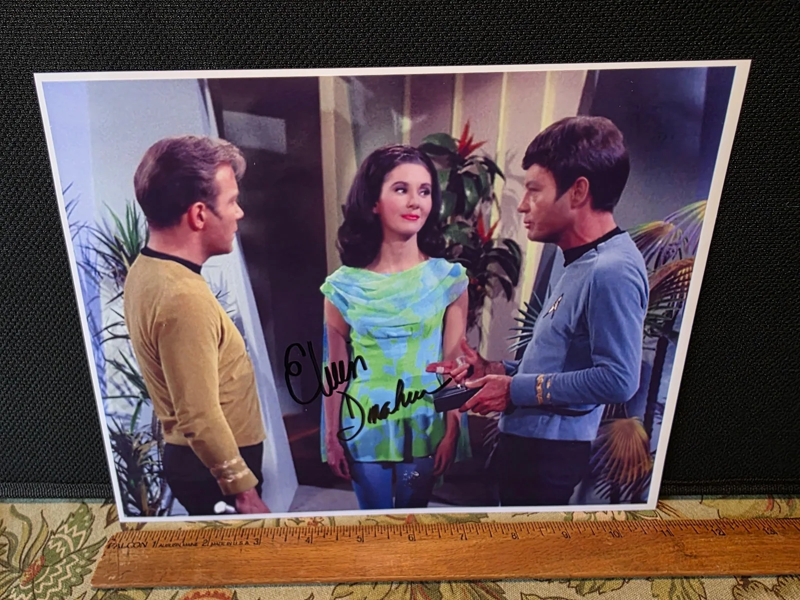 Elinor Donahue — Vintage Elinor Donahue Signed Original 60s Star Trek TV Show Color Photo 1990s