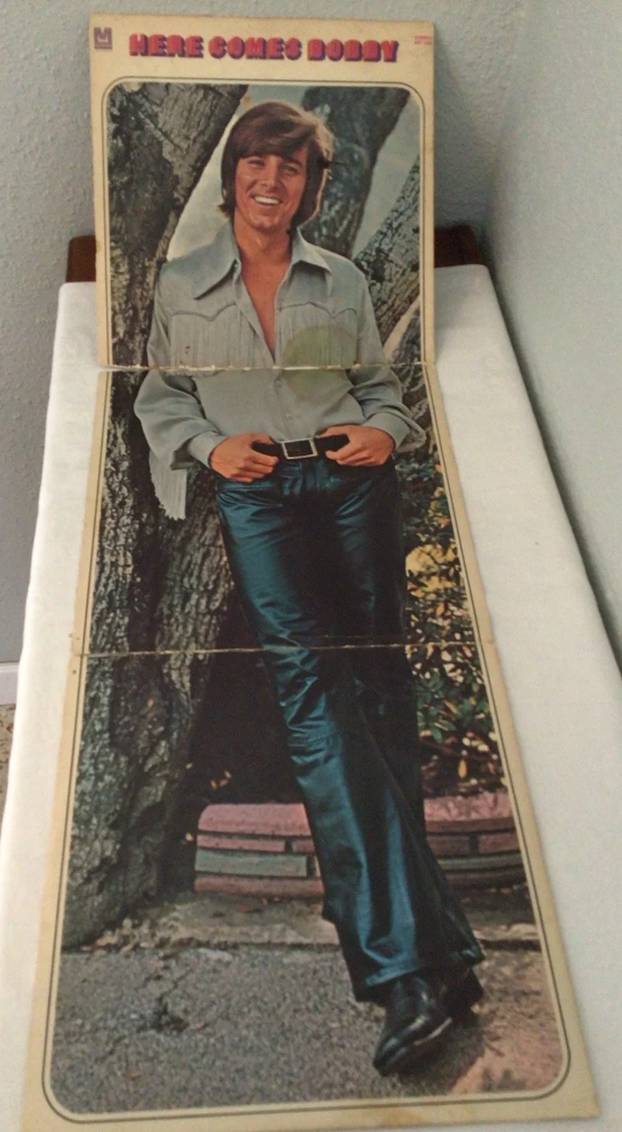 Here Comes Bobby Record Album, image 4