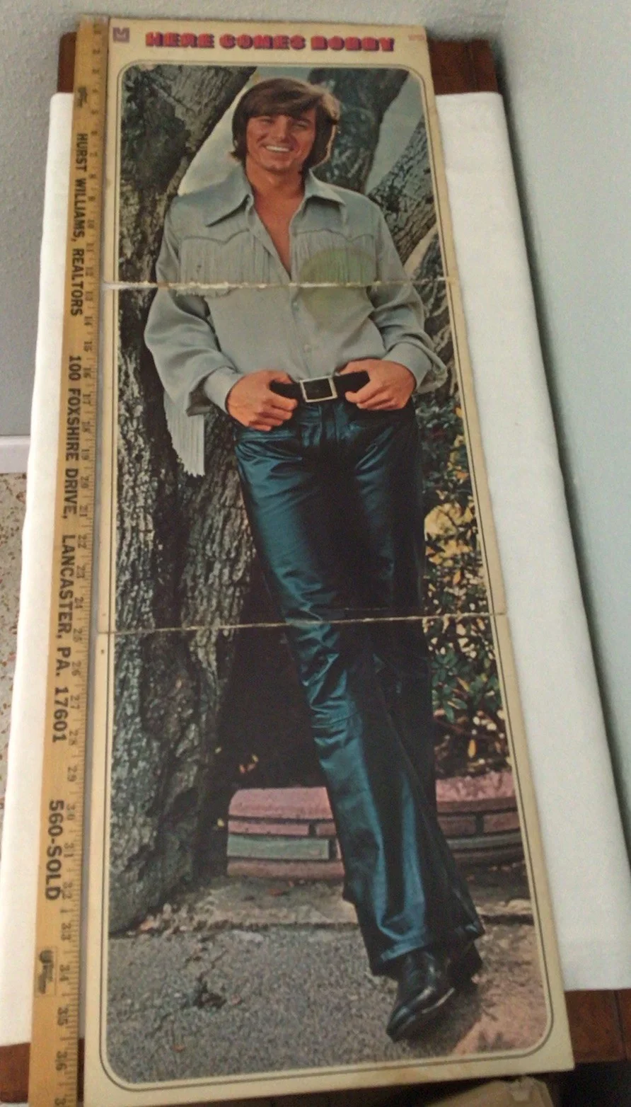 Here Comes Bobby Record Album, image 5