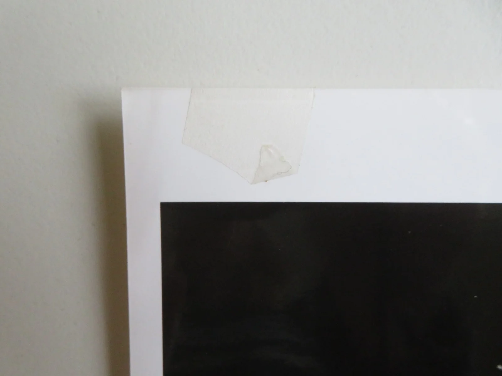 YOUNG EINSTEIN PRESS KIT 1988 YAHOO SERIOUS JOHN HOWARD, image 5