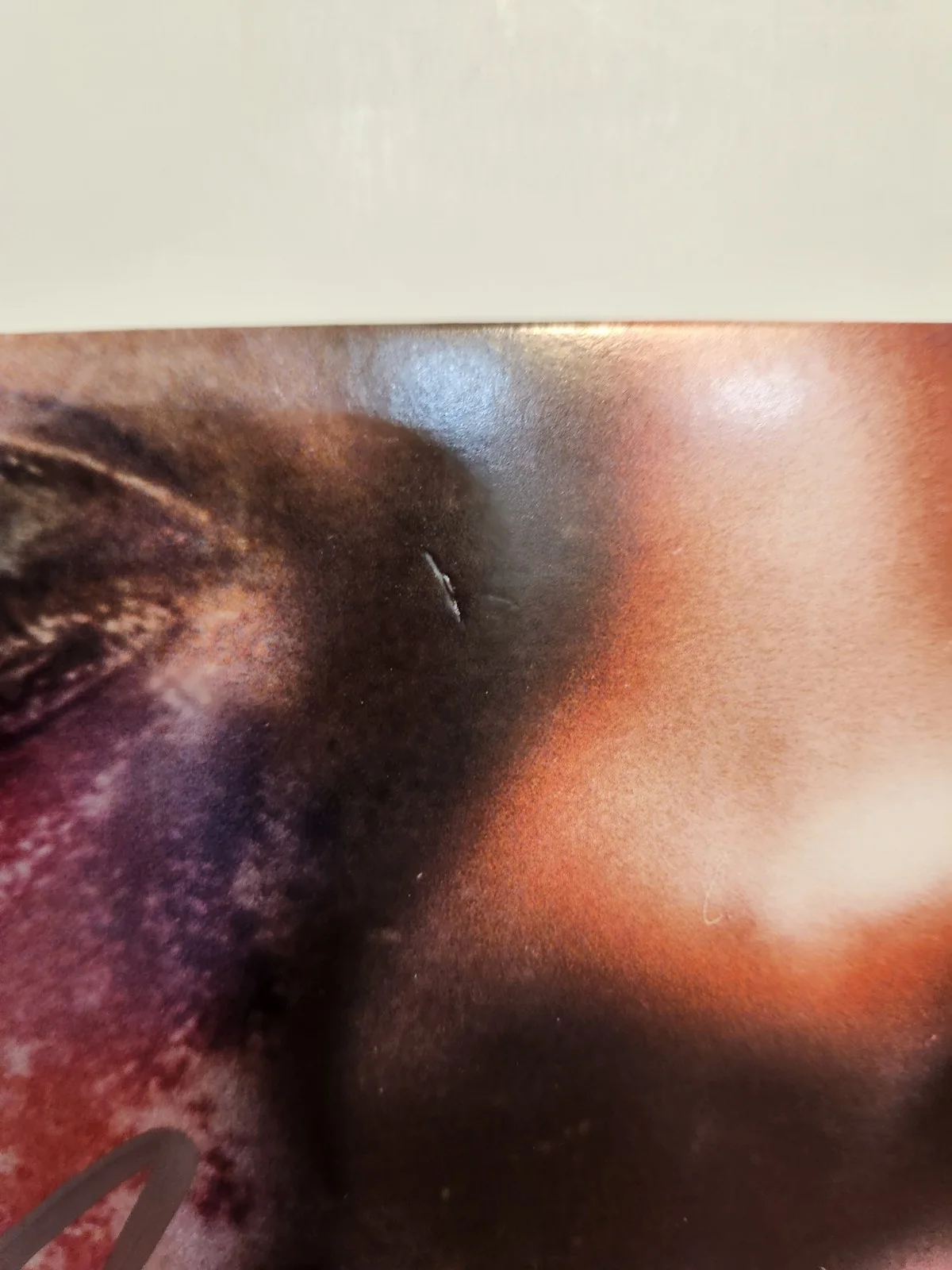 ASAP Rocky Autographed Signed At Long Last A$AP Vinyl Rapper Rihanna Ferg COA, изображение 3