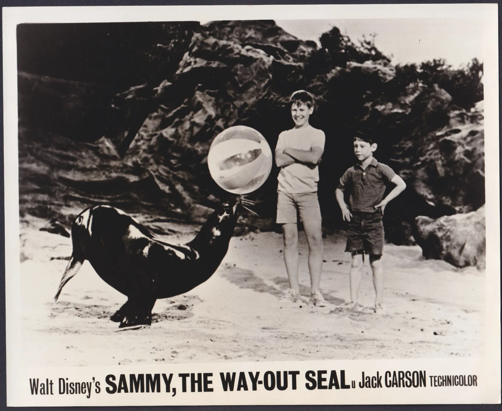 Sammy, The Way-Out Seal 8x ORIGINAL UK FOH Lobby Cards Disney Robert Culp 1962, изображение 2