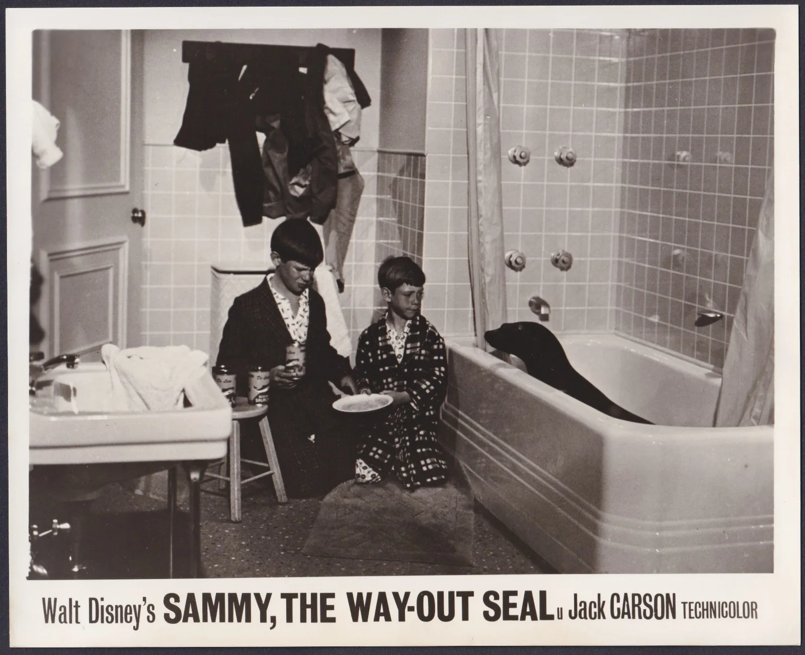 Sammy, The Way-Out Seal 8x ORIGINAL UK FOH Lobby Cards Disney Robert Culp 1962, изображение 4