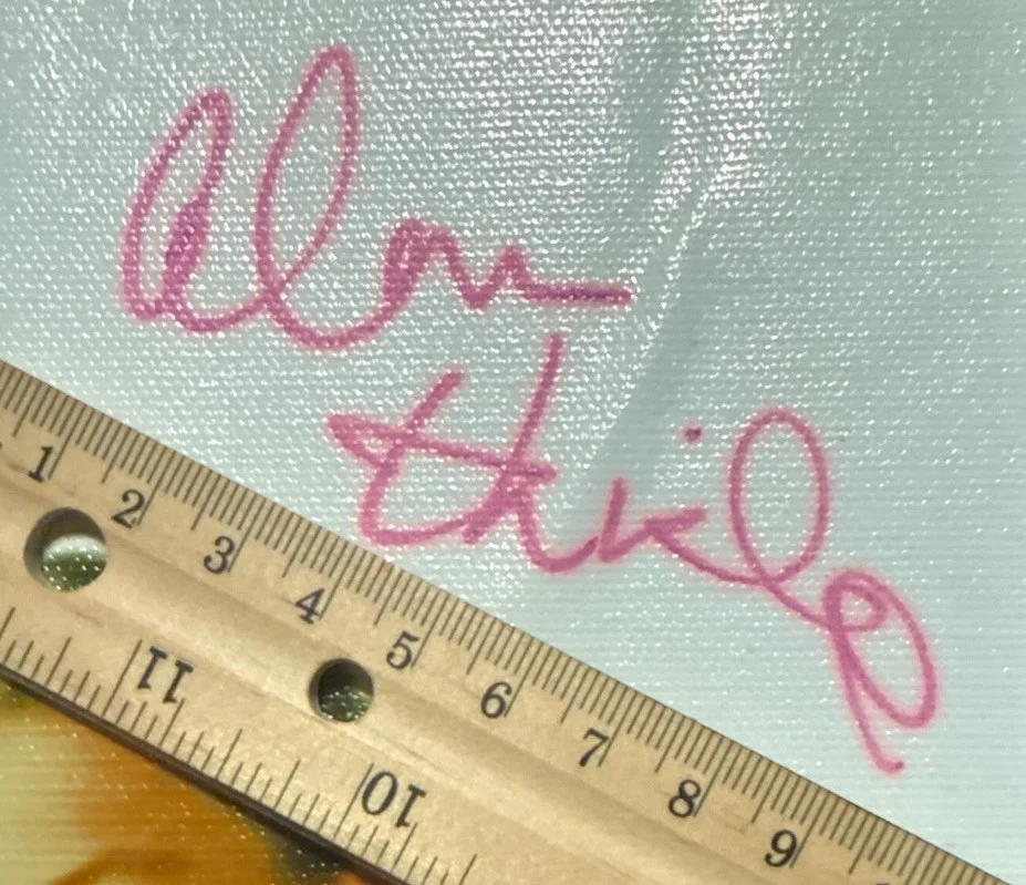 Alan Thicke — ALAN THICKE ‘GROWING PAINS’ HAND SIGNED 24”x23” CANVAS PRINT JSA JD, image 2