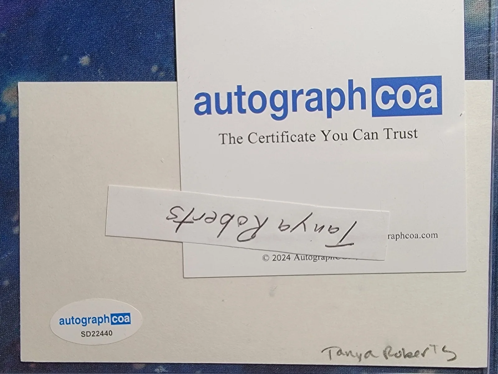 Tanya Roberts — Tanya Roberts Authentic Signed Index Card W/ ACOA Sheena Beastmaster, image 2