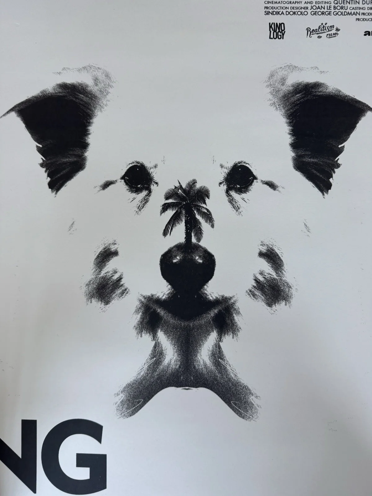 SIGNED 2012 Movie Poster WRONG. Jack Plotnick, Limited And numbered 28/190, image 3