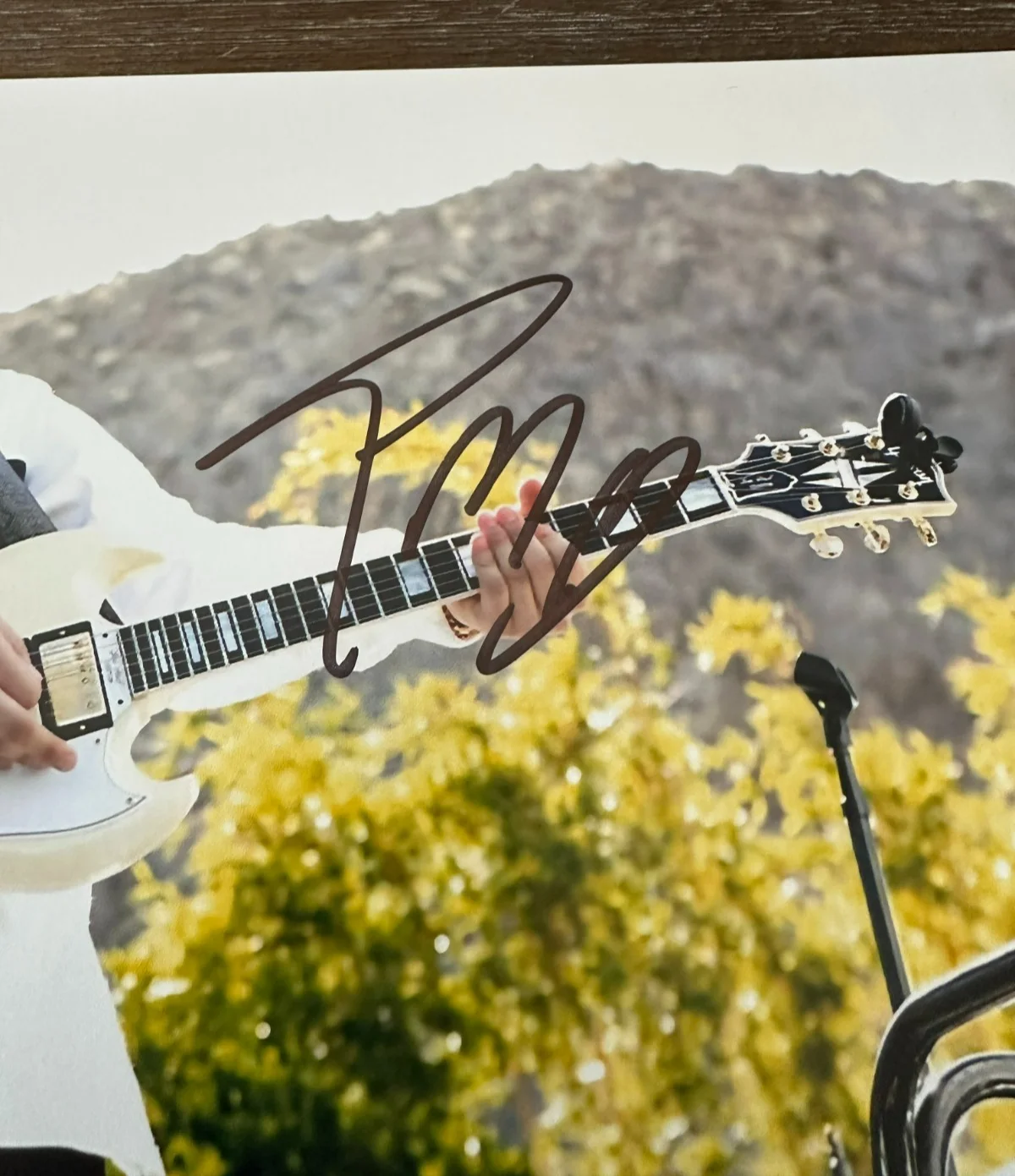 Post Malone Signed 8x10 Photo w/ COA Autographed, image 3