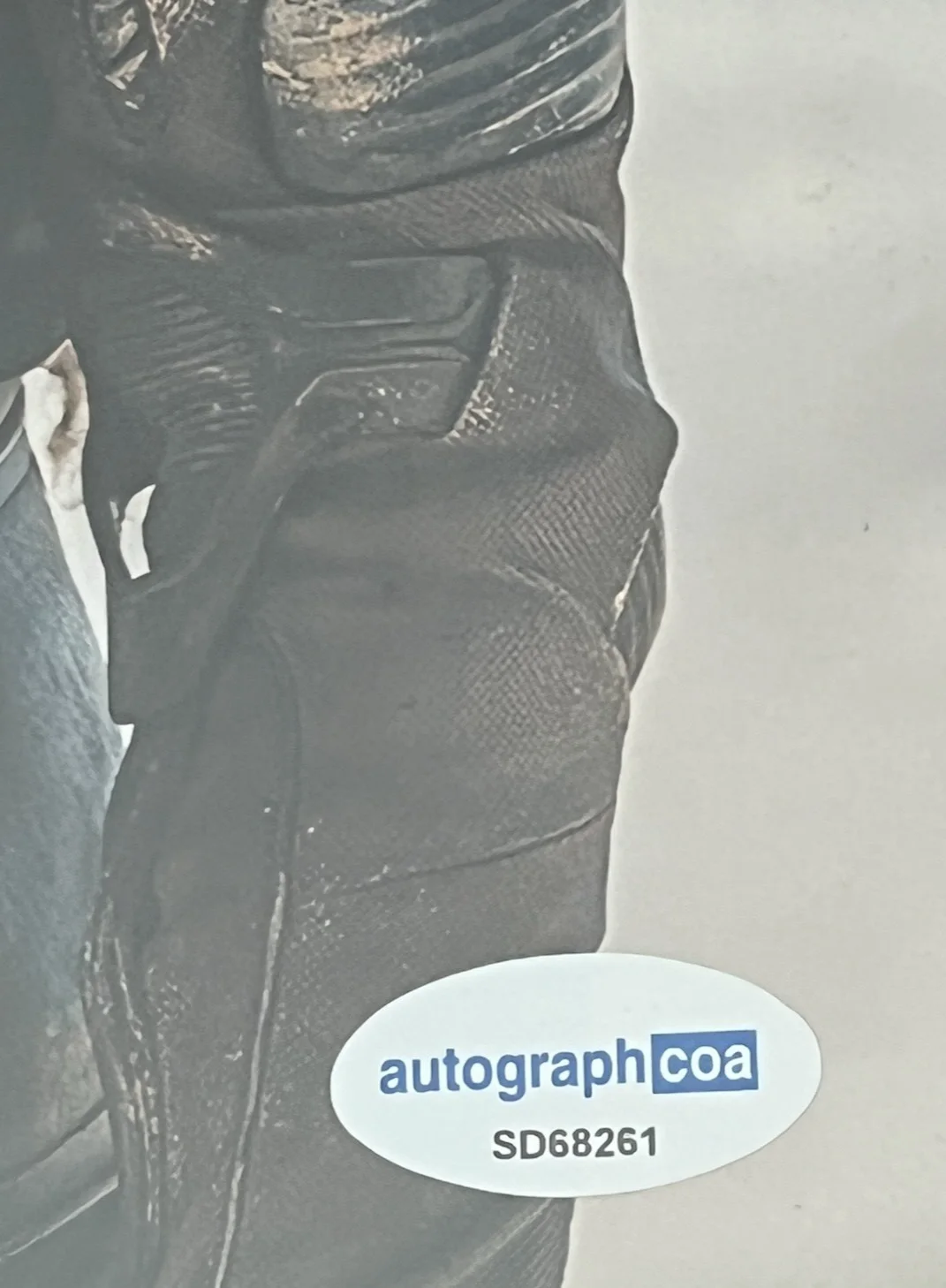 Howie Hammerman — Timothee Chalamet Signed "Dune" 8x10 Photo (ACOA), image 3