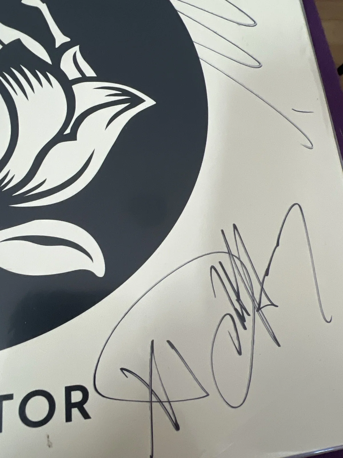 Blondie Pollinator Vinyl Signed x6 Including-Harry, Stein, Burke, Beckett W/LOA, изображение 4