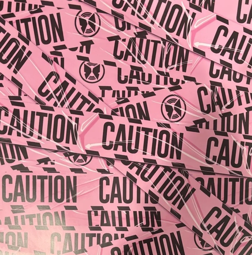 Mariah Carey Signed Autographed Music Caution Album Insert Photo, изображение 2