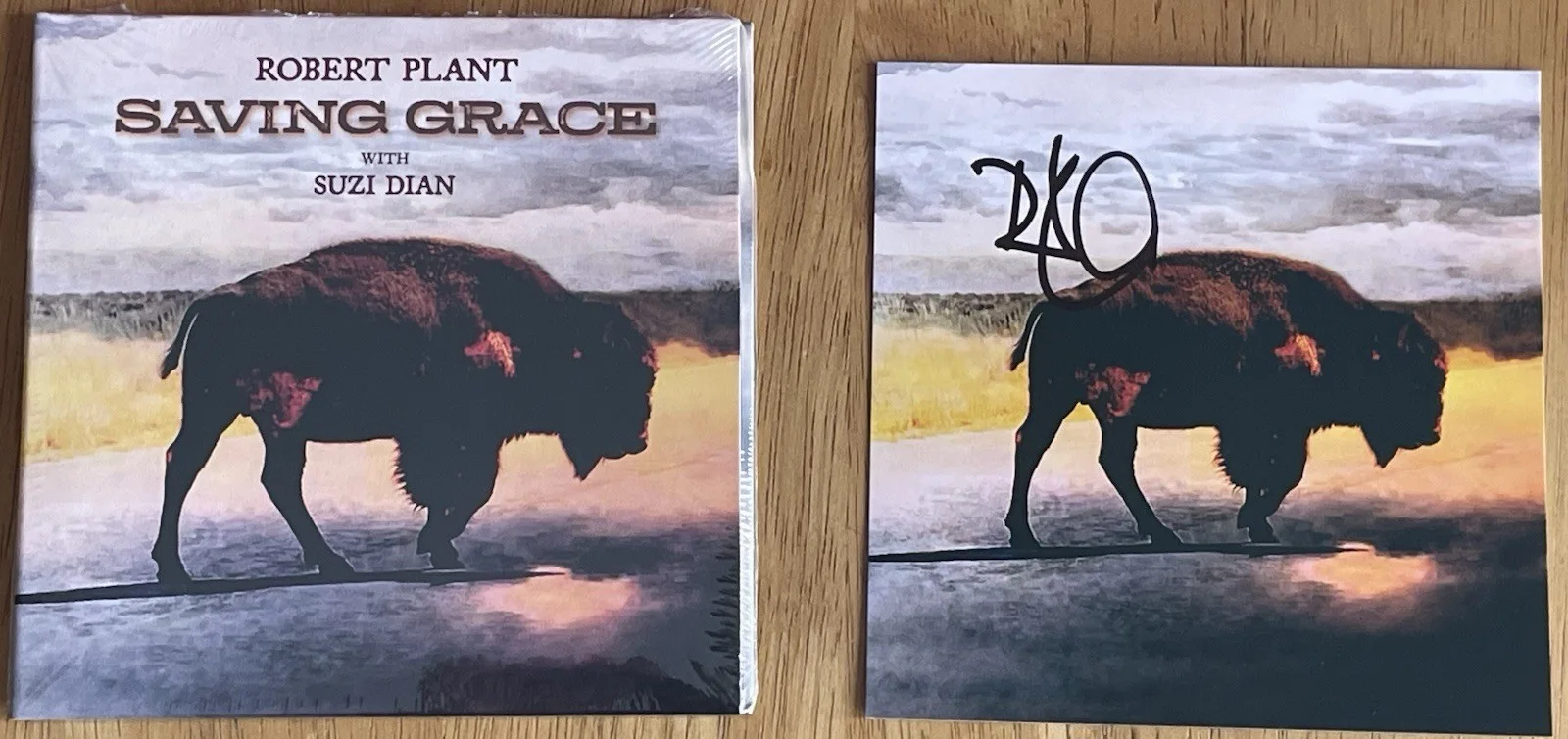 (Led Zeppelin) Robert Plant Saving Grace CD Autographed Art Card NEW Condition, image 2