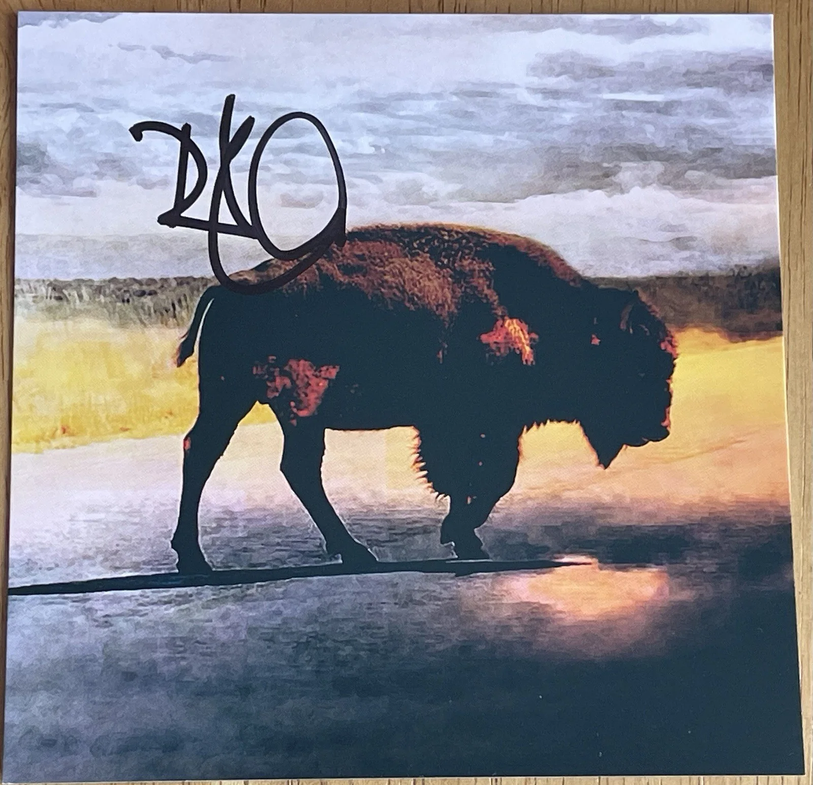 (Led Zeppelin) Robert Plant Saving Grace CD Autographed Art Card NEW Condition, image 3