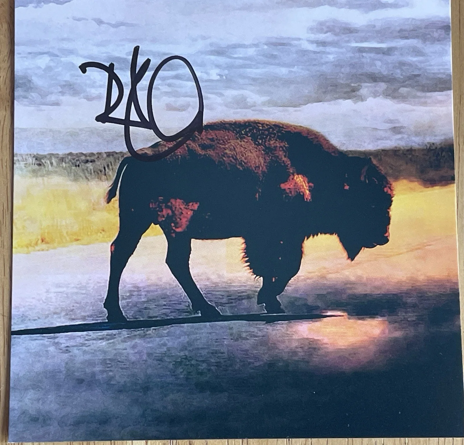 (Led Zeppelin) Robert Plant Saving Grace CD Autographed Art Card NEW Condition, image 4