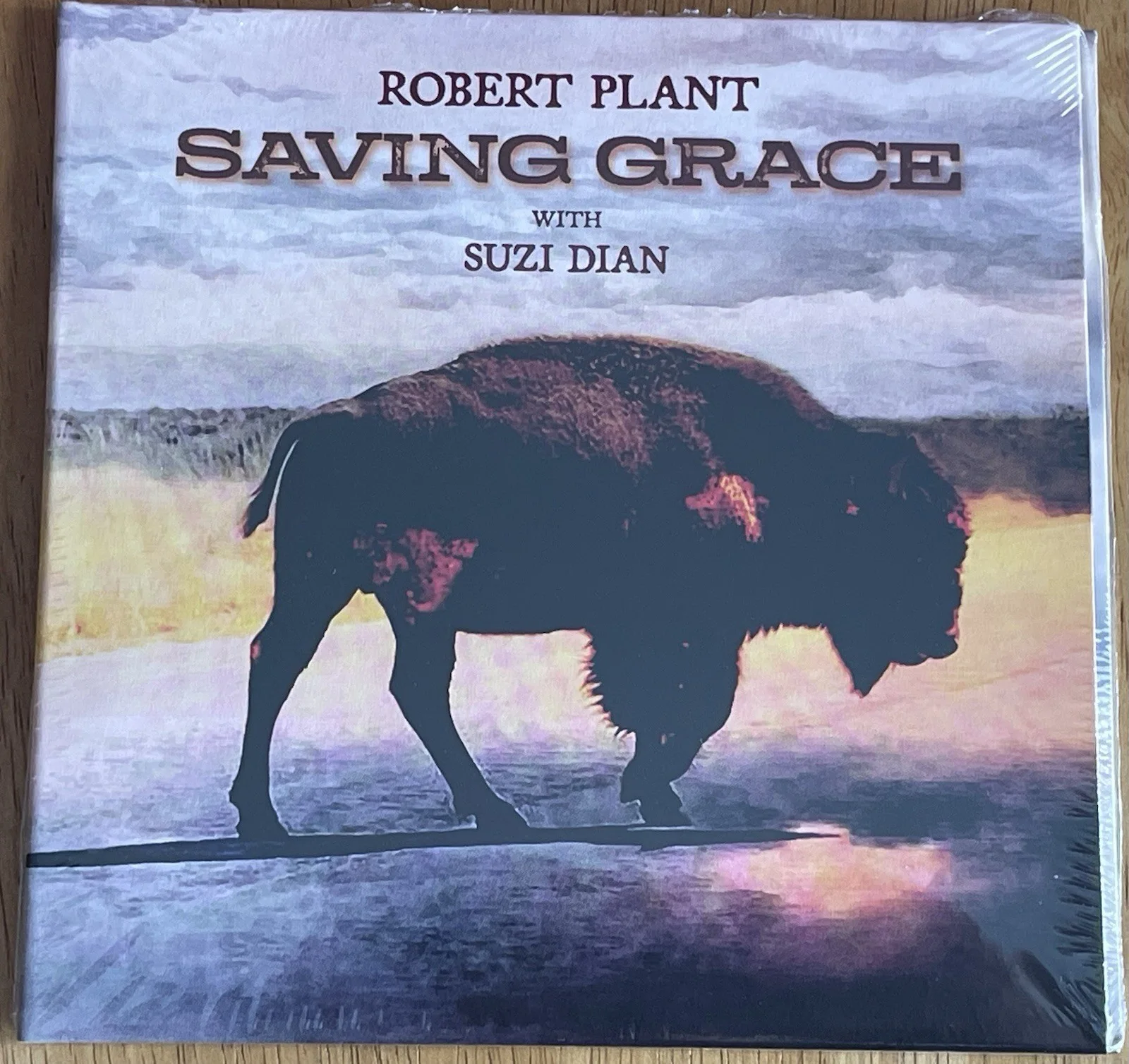 (Led Zeppelin) Robert Plant Saving Grace CD Autographed Art Card NEW Condition, image 5
