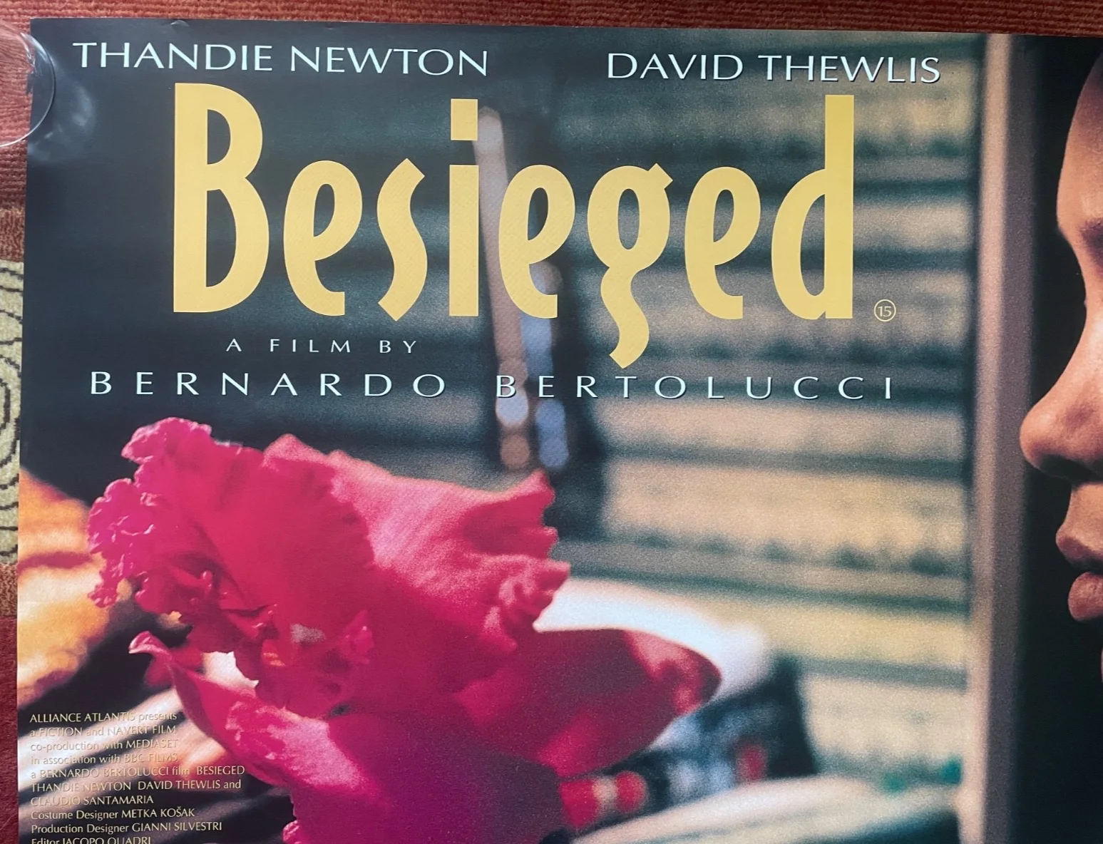BESEIGED (1998) Original UK Quad Movie Poster Thandie Newton Bernado Bertolucci, изображение 4
