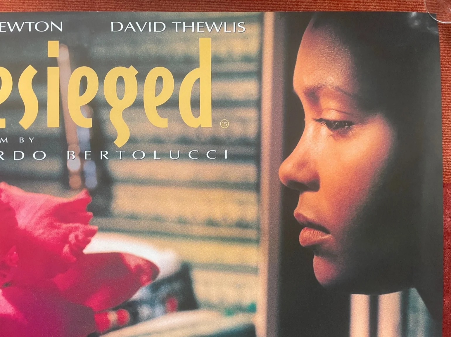 BESEIGED (1998) Original UK Quad Movie Poster Thandie Newton Bernado Bertolucci, изображение 5