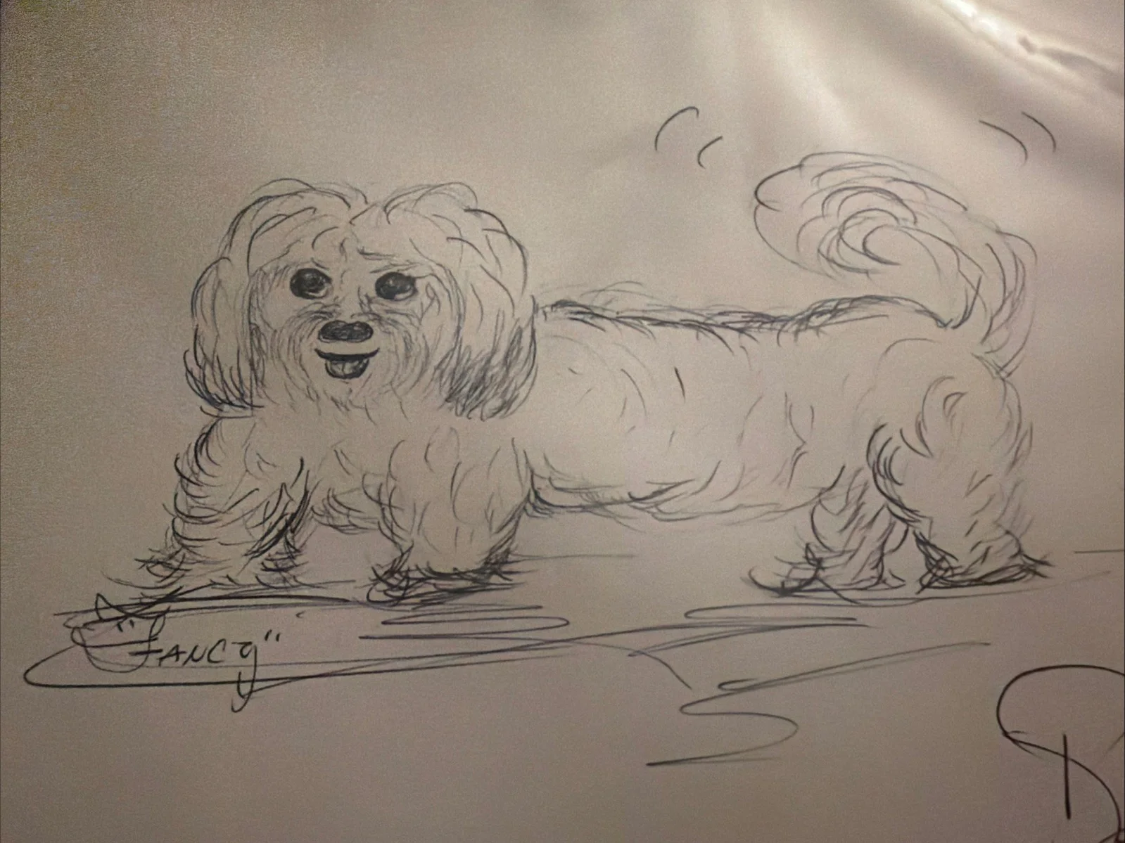 DeForest Kelley Original Dog Sketch Signed Leonard McCoy Star Trek TOS Autograph, изображение 3