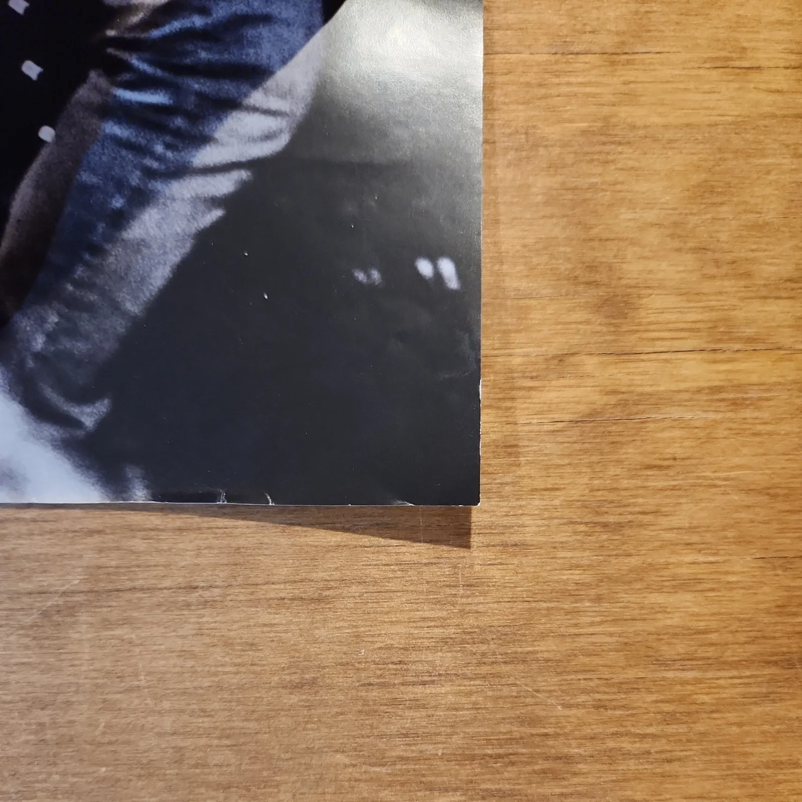 L.S. Dunes Signed VIP Poster, image 4