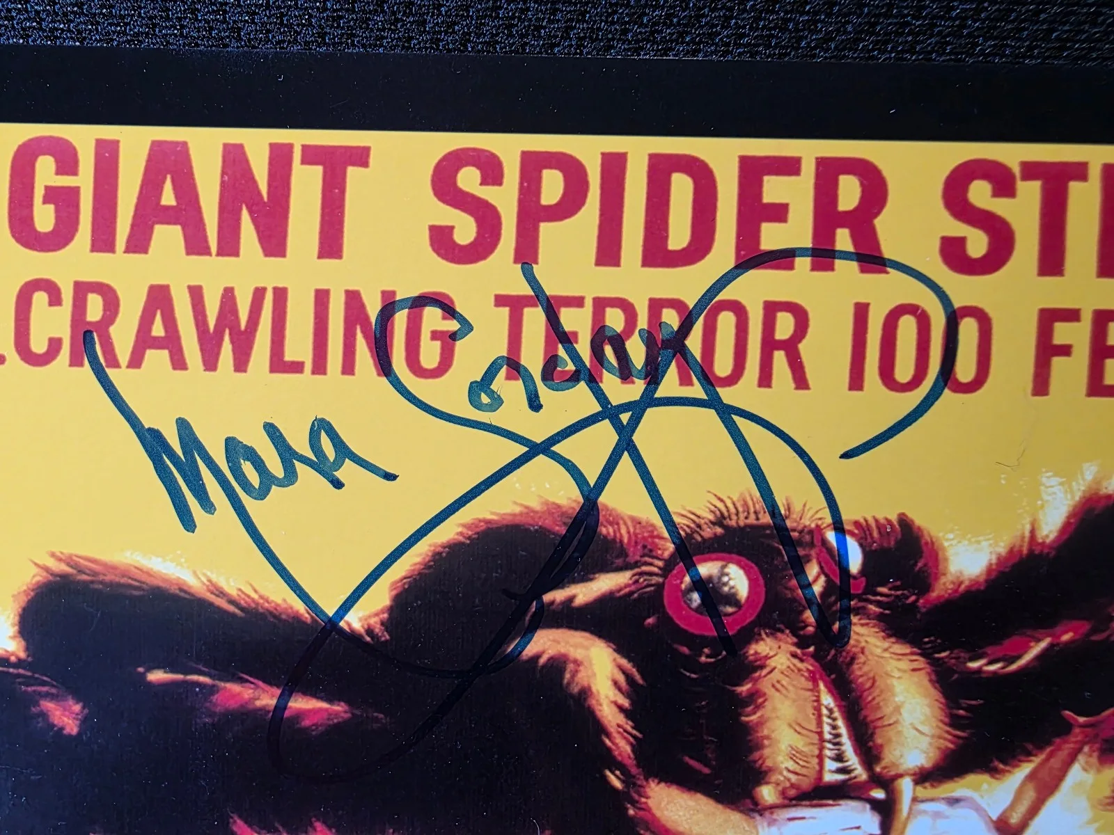 Mara Corday — Vintage Signed Mara Corday Tarantula Sci Fi Movie Ad Print 8x10 1955 with Glass, изображение 3