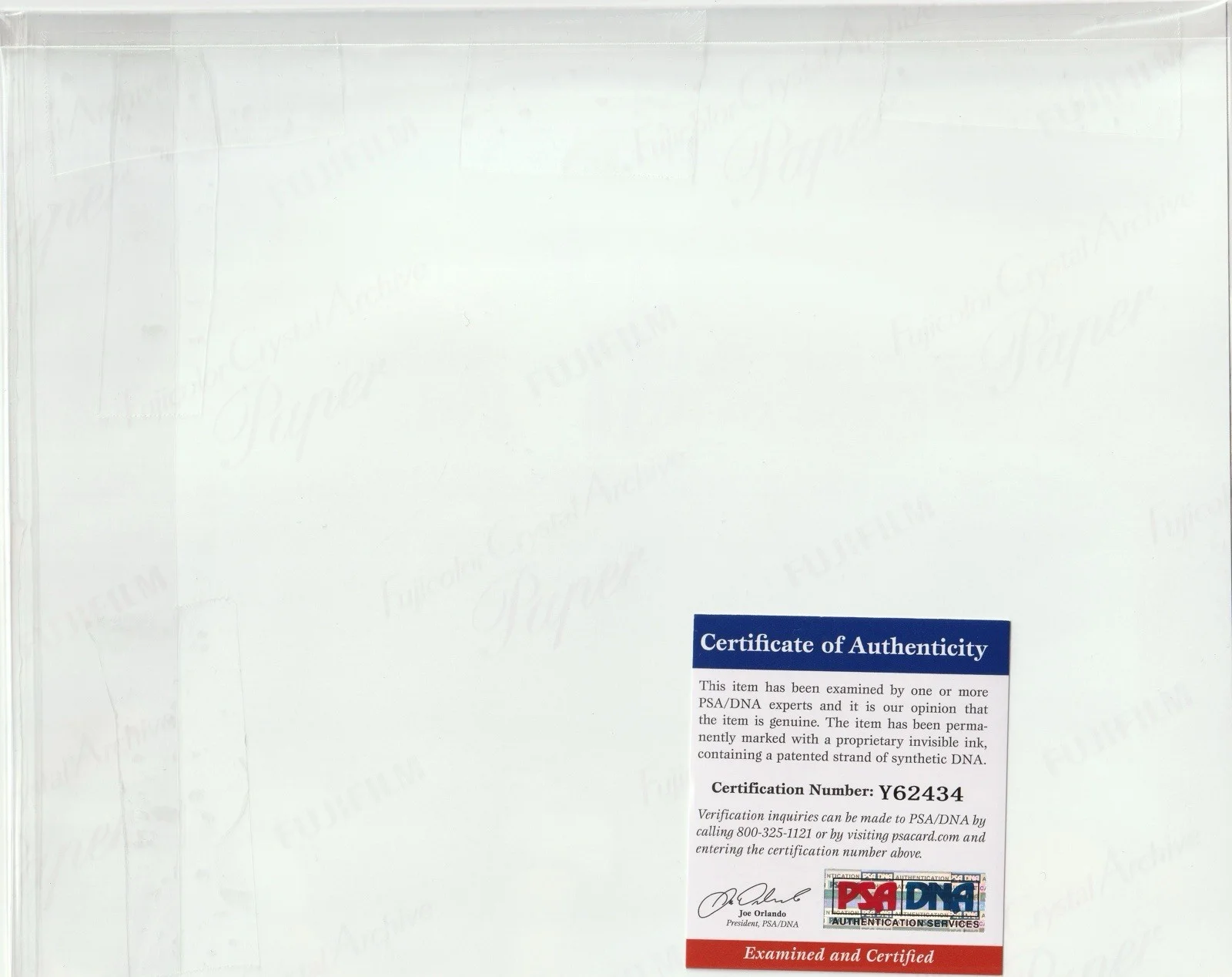 Drew Berrymore — Drew Barrymore Signed 8x10 ET Scream Batman Forever Autograph PSA/DNA COA, image 2