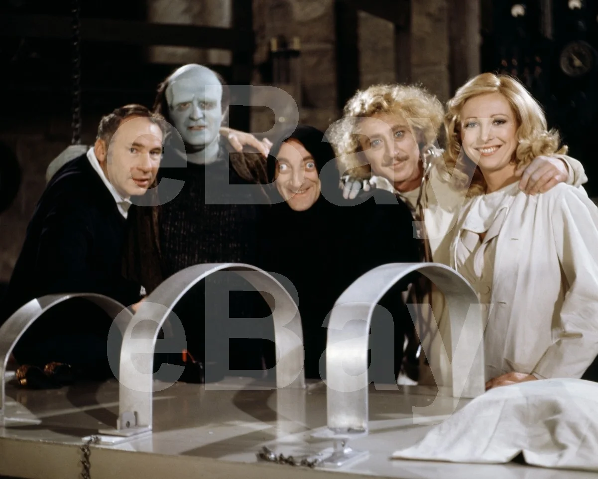 Young Frankenstein (1974) Mel Brooks, Marty Feldman, Gene Wilder 16x12 Photo, изображение 4