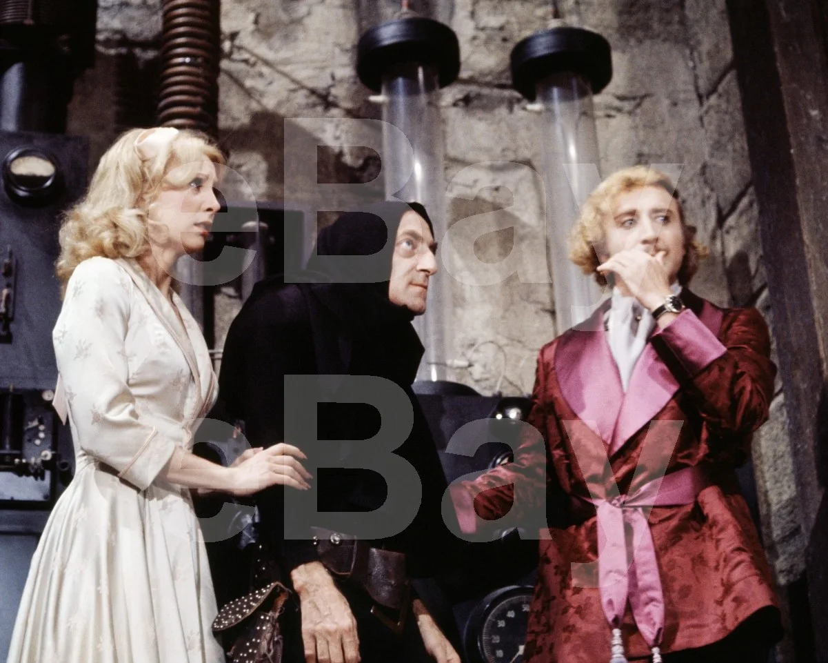 Young Frankenstein (1974) Teri Garr, Marty Feldman, Gene Wilder 16x12 Photo, image 4