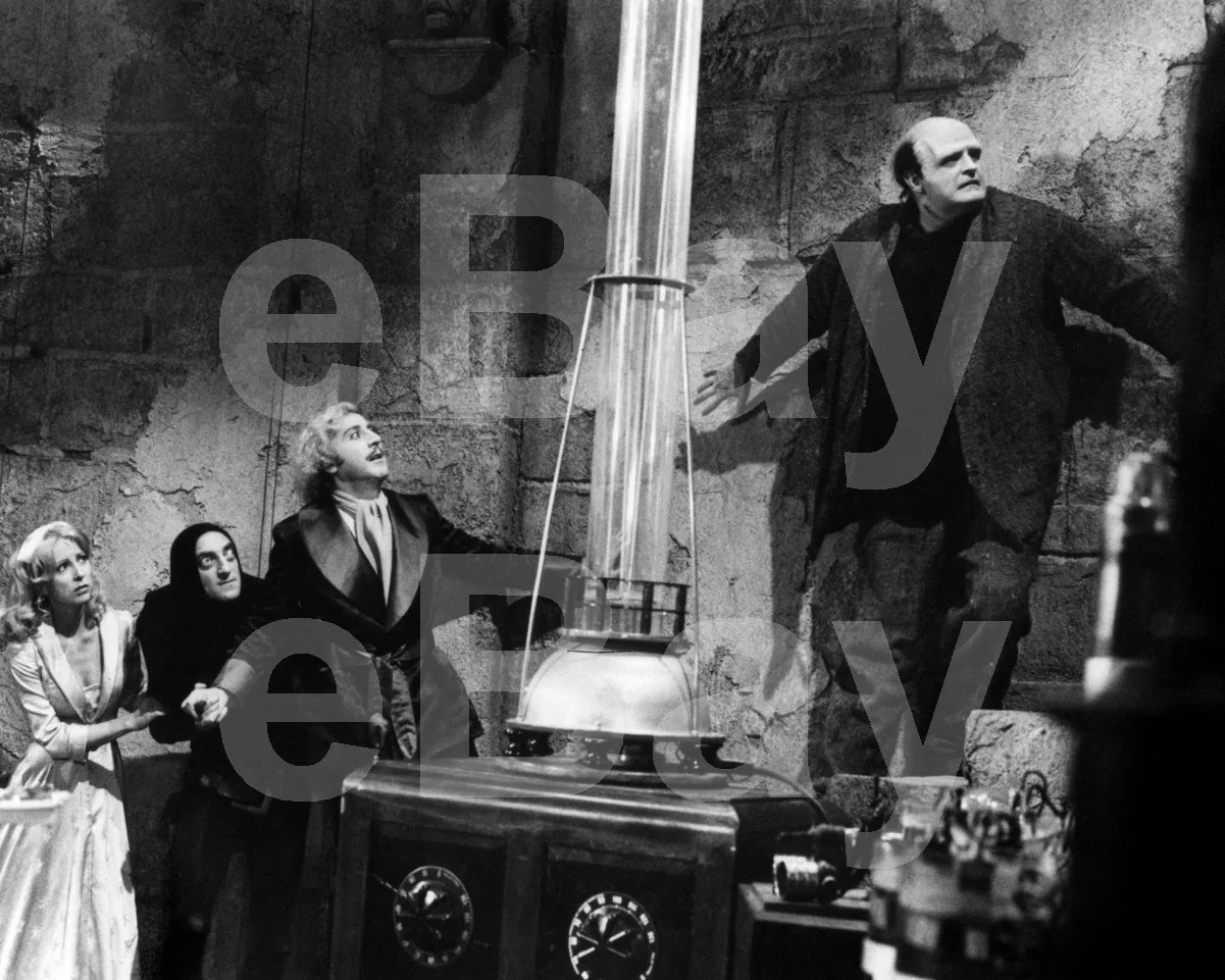 Young Frankenstein (1974) Marty Feldman, Gene Wilder 16x12 Photo Poster Print, image 4