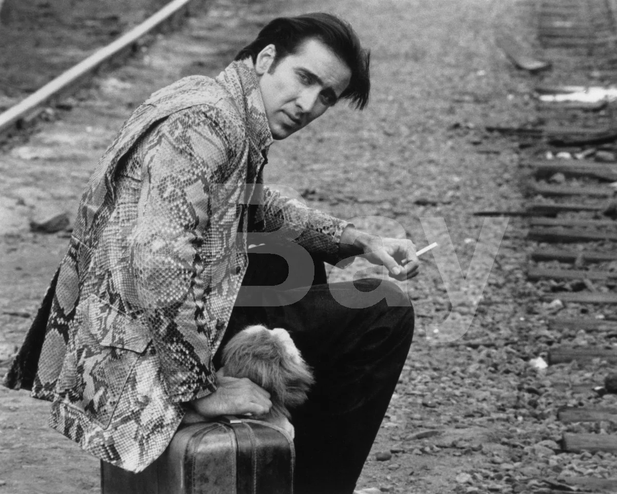 Wild at Heart (1990) Nicolas Cage 16x12 Photo Poster Print, изображение 4