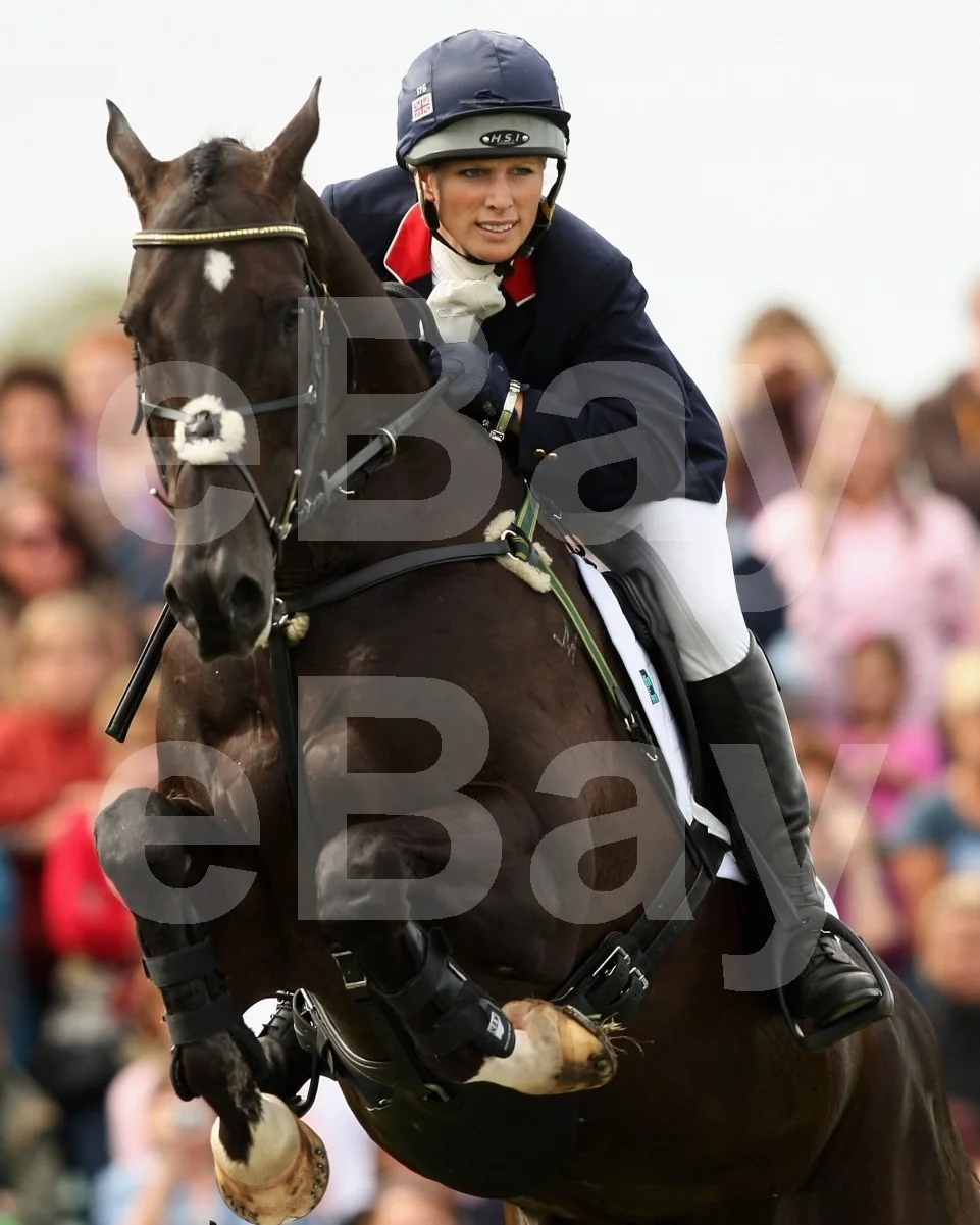 Zara Phillips - Olympic Show Jumping, Show Jumper, Horse, Equestrian 16x12 Photo, изображение 4