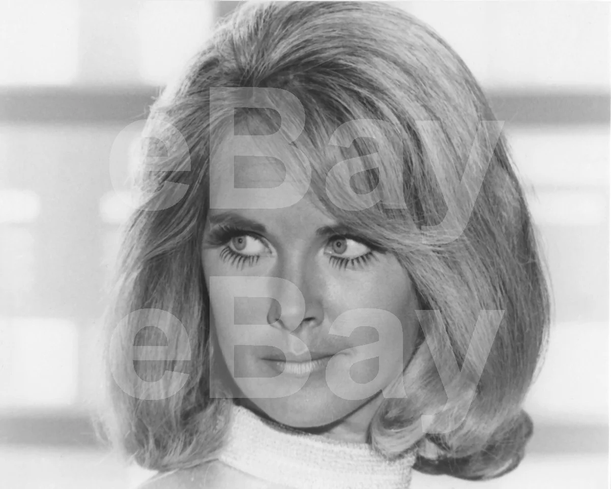 Wanda Ventham 16x12 Photo Poster Print, изображение 4