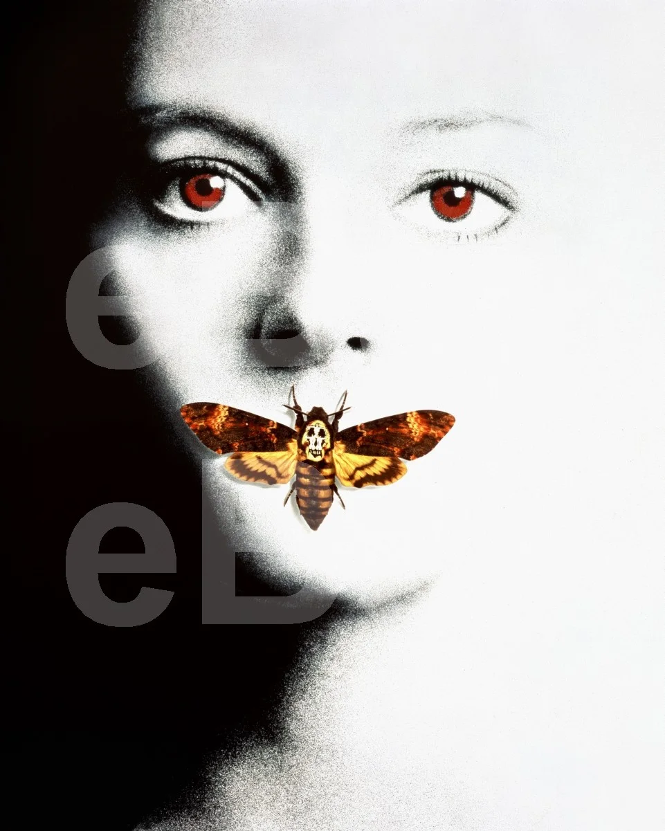 The Silence of the Lambs (1991) Jodie Foster 16x12 Photo Poster Print, изображение 4