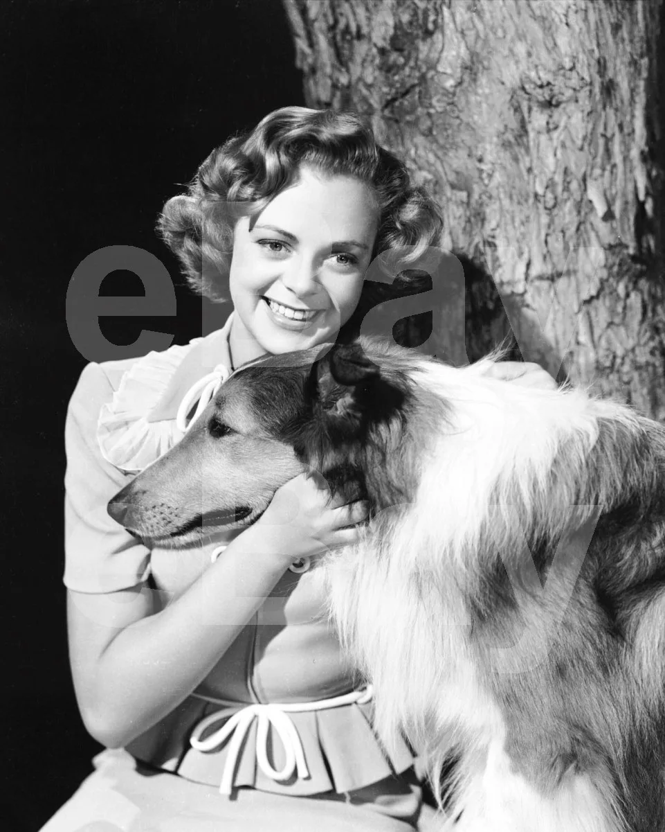 Son of Lassie (1945) June Lockhart 16x12 Photo Poster Print, изображение 4