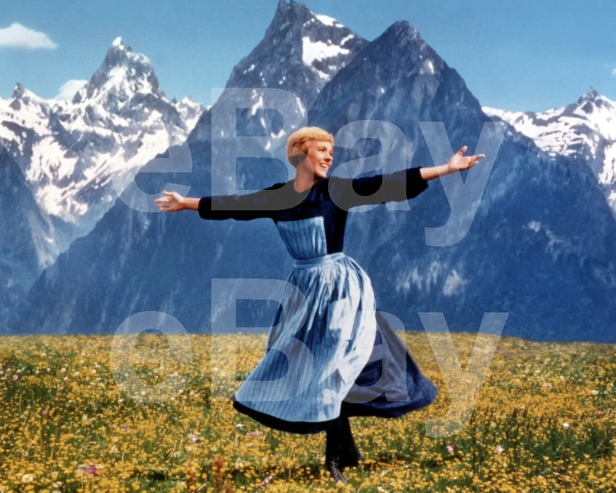 The Sound of Music (1965) Julie Andrews 16x12 Photo Poster Print, изображение 4