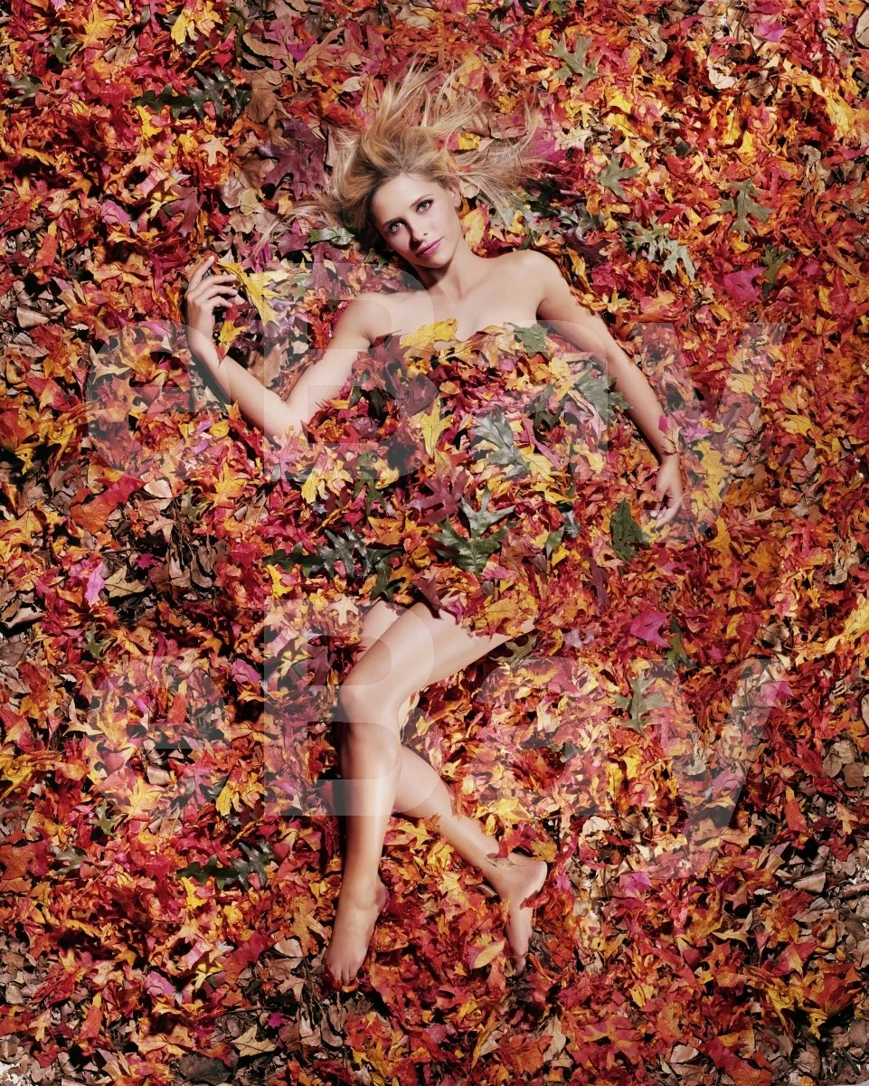 Sarah Michelle Gellar 16x12 Photo Poster Print, image 4