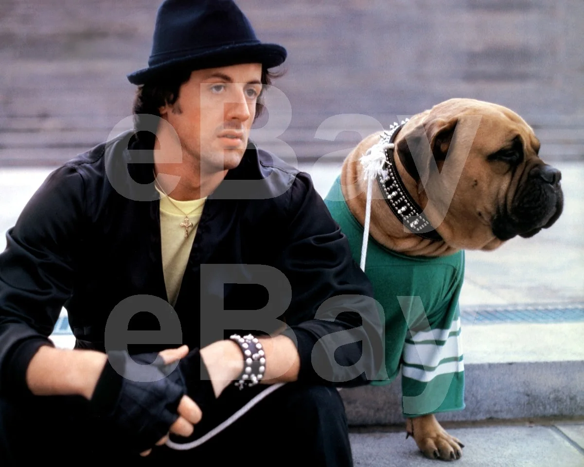 Rocky II (1979) Sylvester Stallone 16x12 Photo Poster Print, image 4