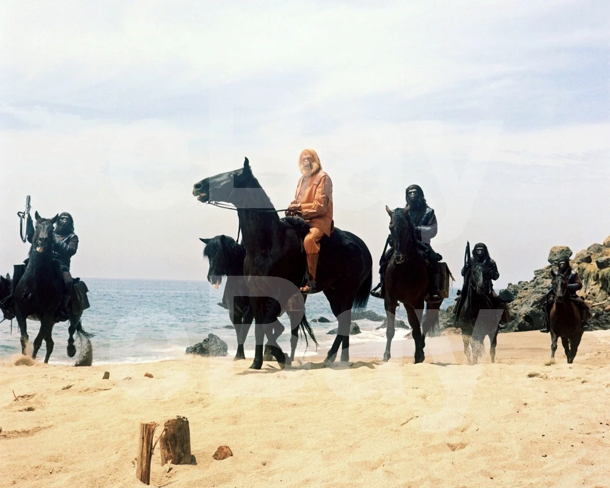 Planet of the Apes (1968) Maurice Evans 16x12 Photo Poster Print, изображение 4
