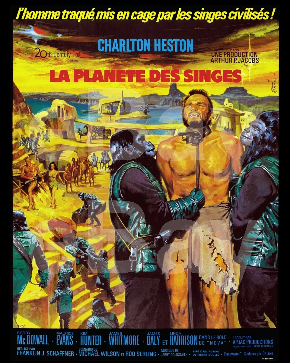 Planet of the Apes (1968) Poster Print (French) 16x12 Photo Poster Print, изображение 4