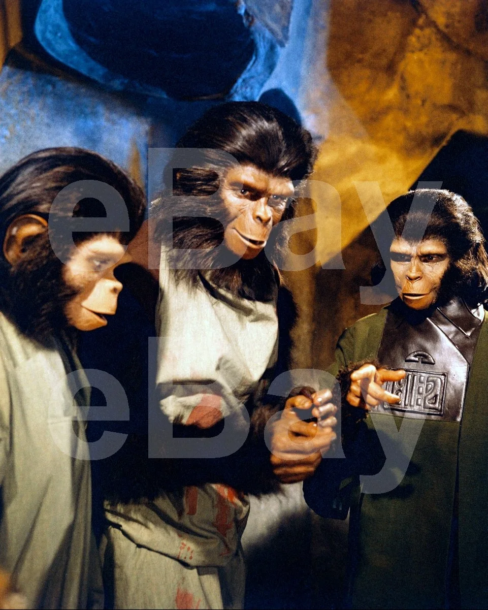 Planet of the Apes (1968) Kim Hunter, Wright King 16x12 Photo Poster Print, изображение 4