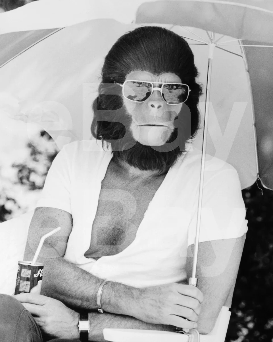 Planet of the Apes (1968) Roddy McDowall 16x12 Photo Poster Print, изображение 4