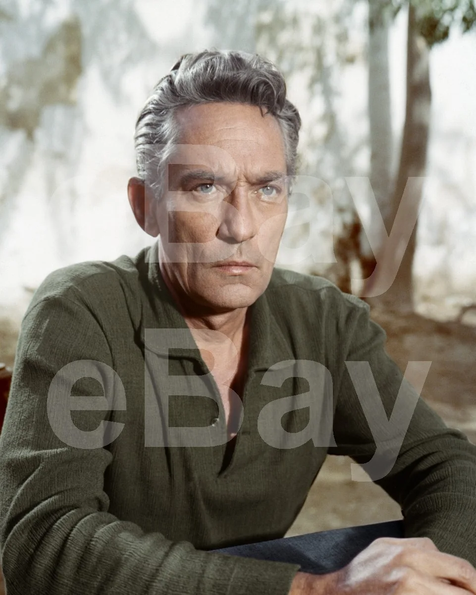 Peter Finch 16x12 Photo Poster Print, изображение 4