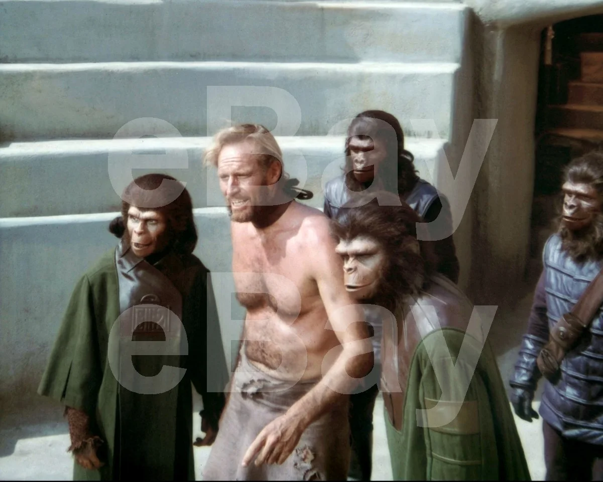 Planet of the Apes (1968) Kim Hunter Charlton Heston Roddy McDowall 16x12 Photo, изображение 4