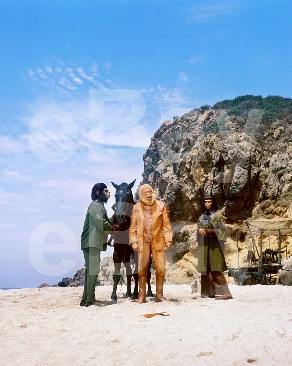 Planet of the Apes (1968) Kim Hunter, Roddy McDowall, Maurice Evans 16x12 Photo, изображение 4