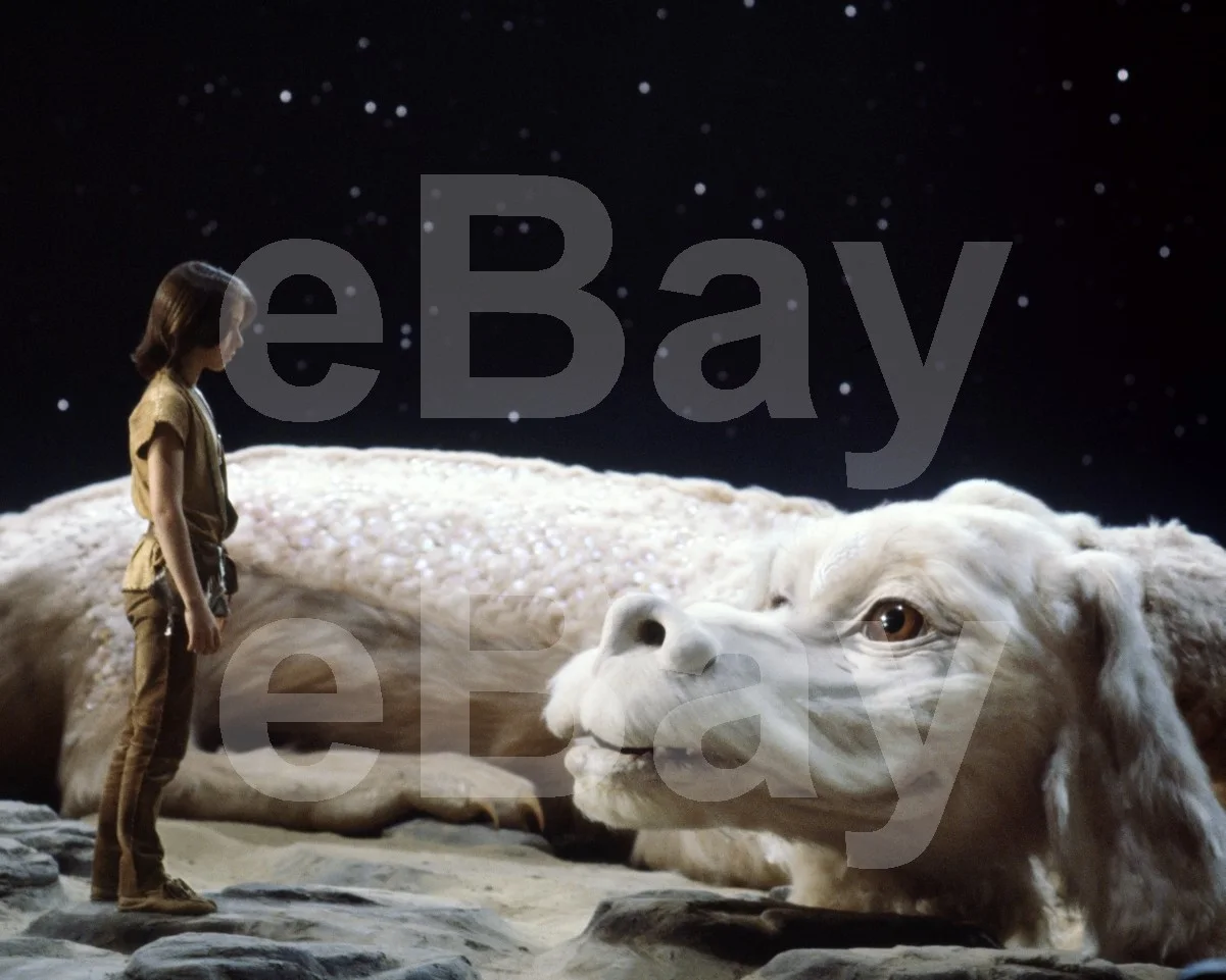 The Neverending Story (1984) Noah Hathaway 16x12 Photo Poster Print, изображение 4